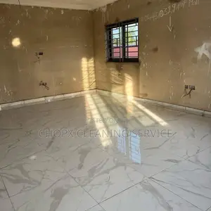 Professional Cleaning That Speaks for Itself!