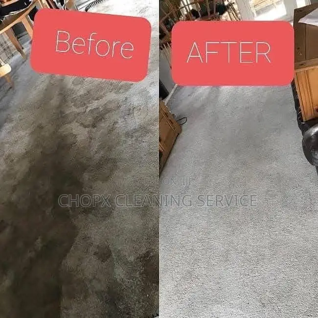 Give Your Sofa a Fresh New Life!