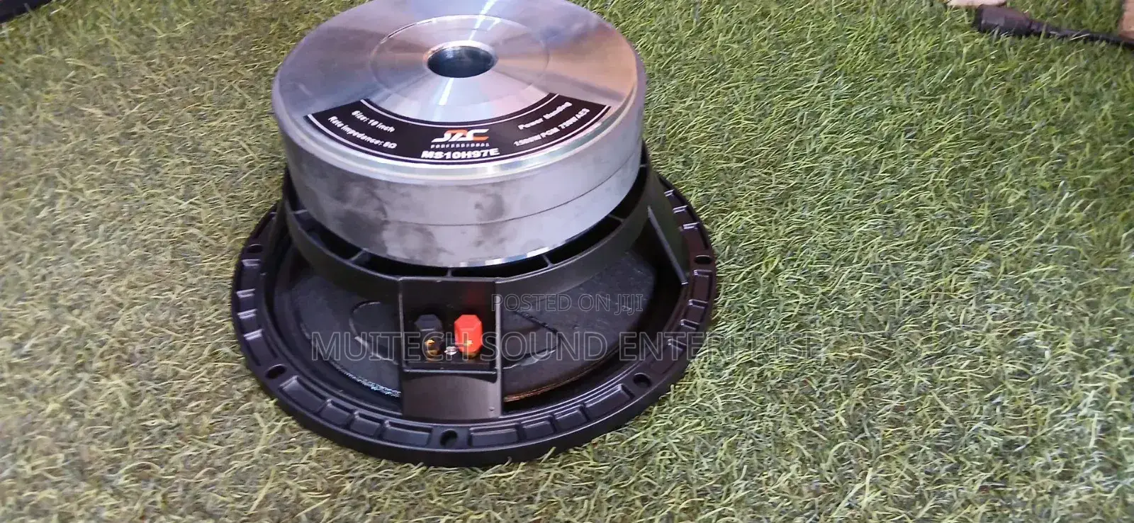 Naked Speaker 10 Inches JAC