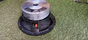 Jac '10' Inches Naked Speaker