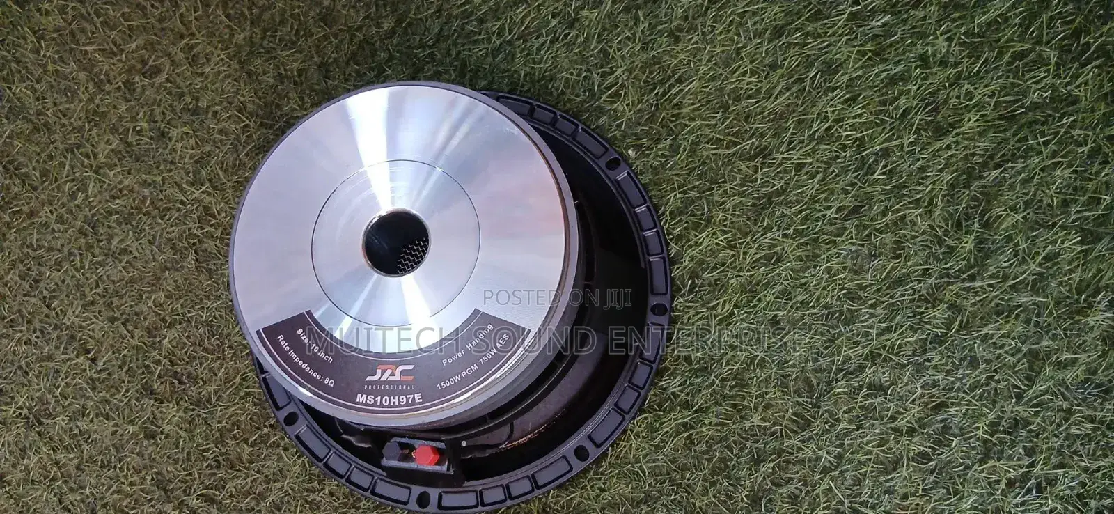 Naked Speaker 10 Inches JAC