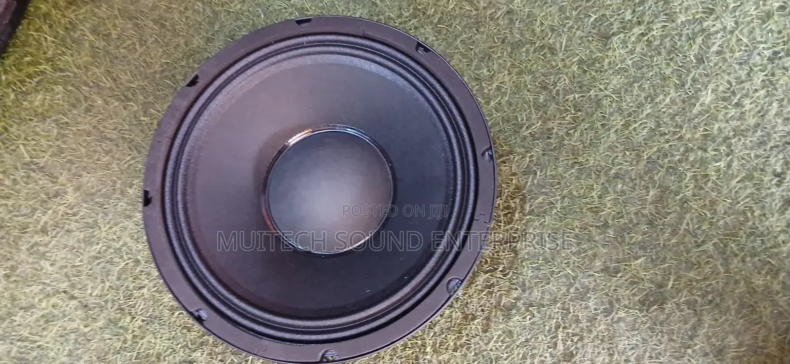 Naked Speaker 10 Inches JAC