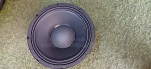 Naked Speaker 10 Inches JAC