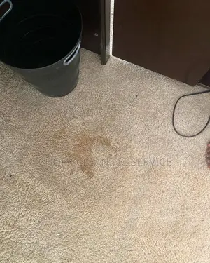 Carpet Cleaning That Brings Life Back to Your Floors!