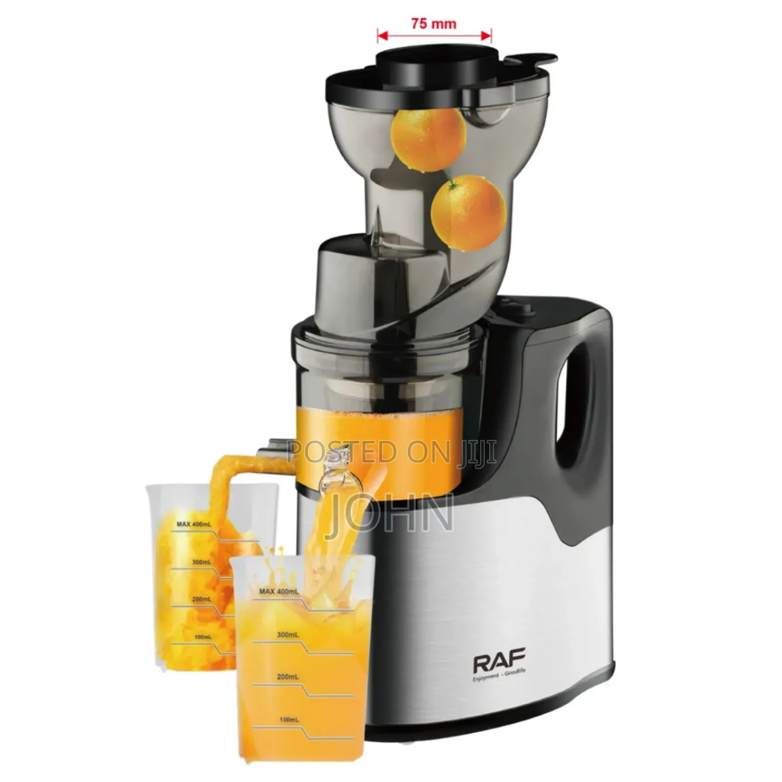Raf Slow Juicer