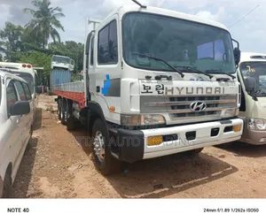 Hyundai 2013 White