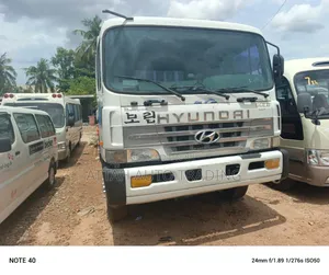 Hyundai 2013 White