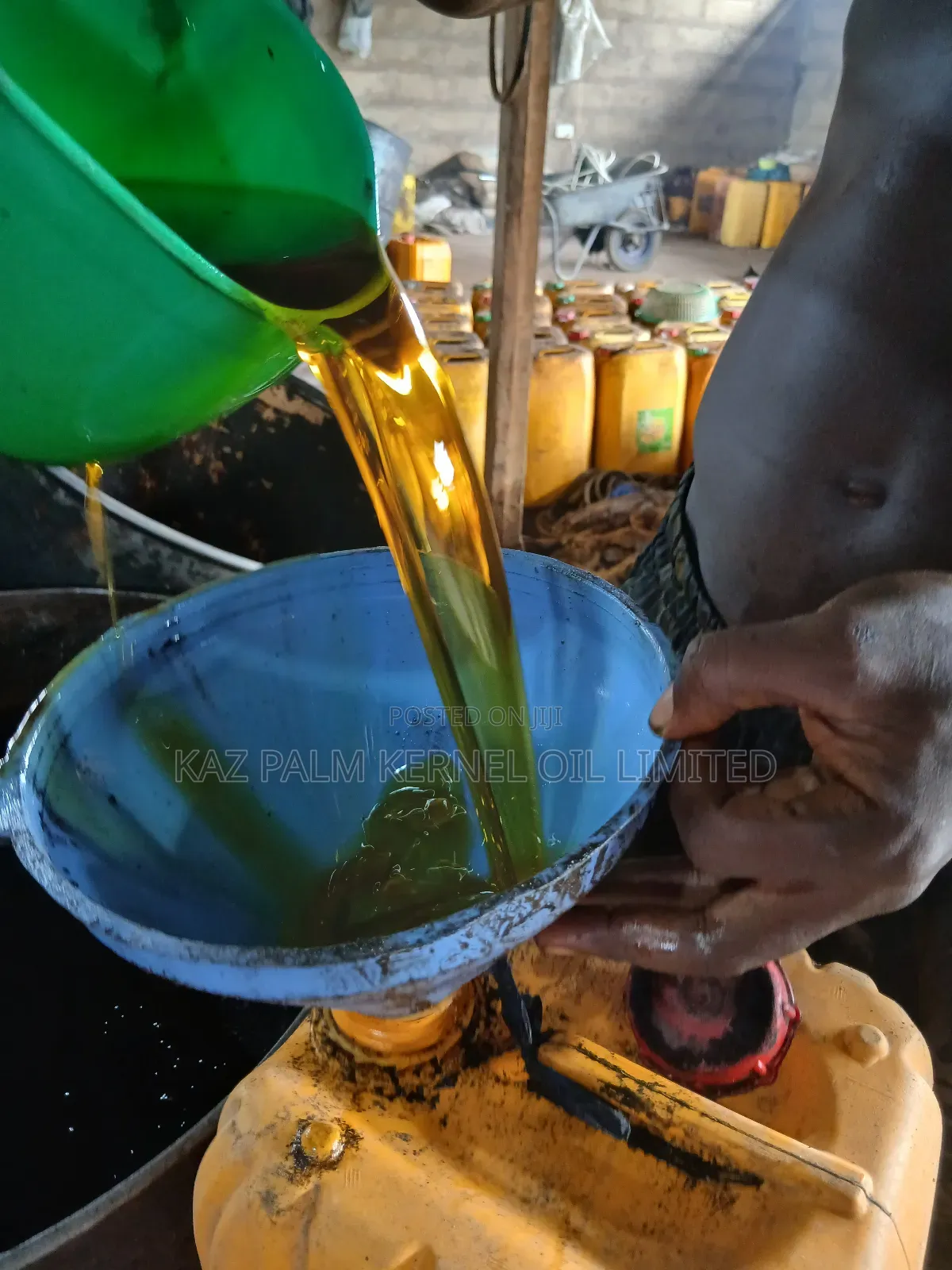 Palm Kernel Oil and Palm Kernel Cake