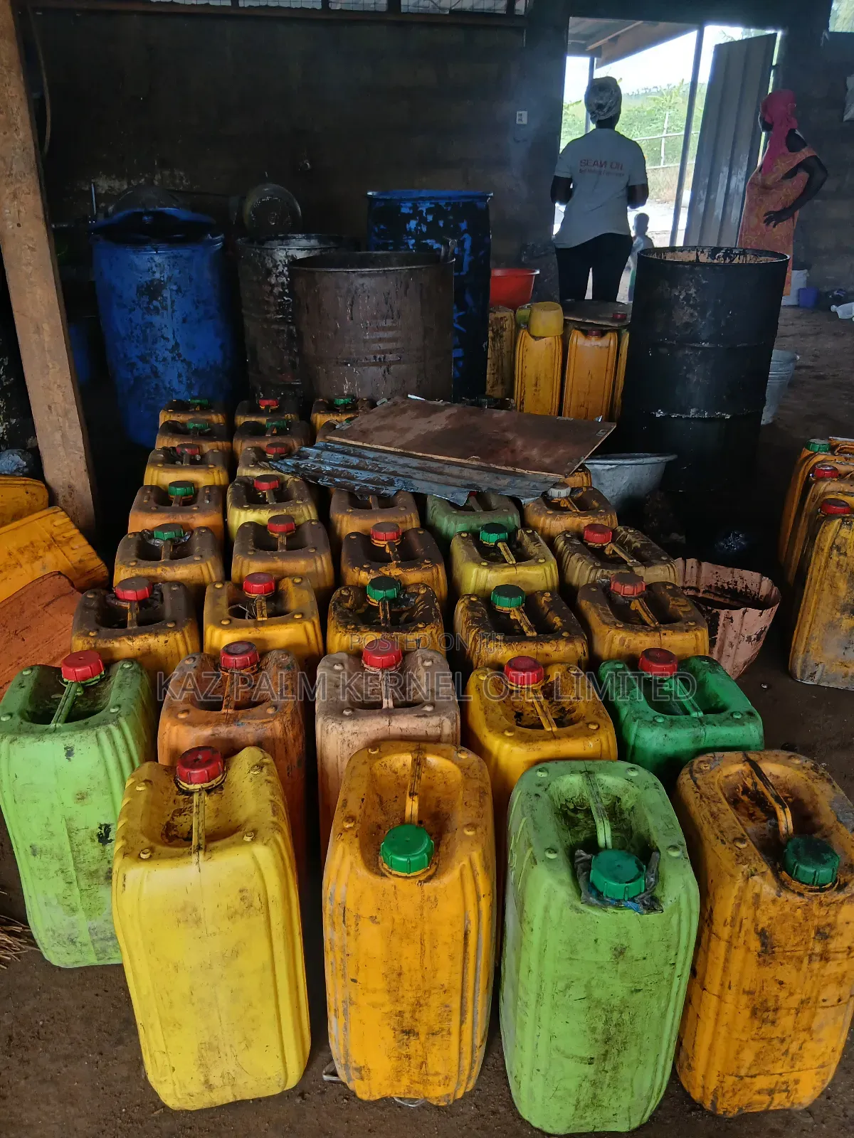 Palm Kernel Oil and Palm Kernel Cake