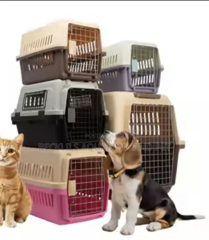 Airline Pet Carrier for Dogs and Cat