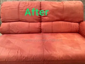 Sofa Cleaning – Give Your Couch a New Life!