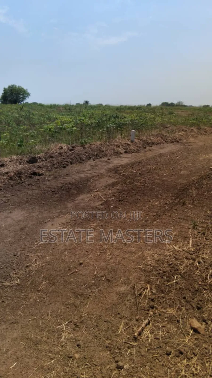 Owning a Land Is an Investment