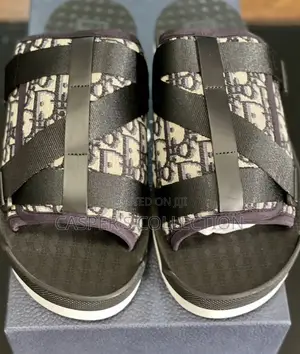 Dior Alpha Sandals Oblique Slippers