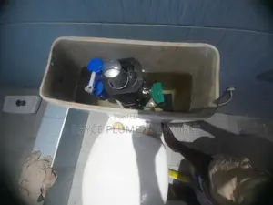 Bryce Man Plumbing Bio Digester Services