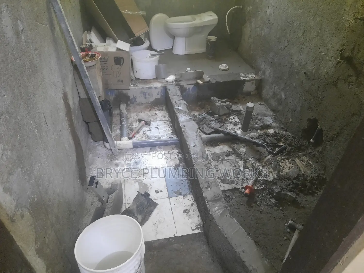 Bryce Man Plumbing Bio Digester Services