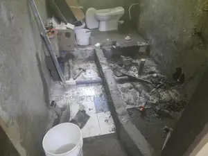 Bryce Man Plumbing Bio Digester Services