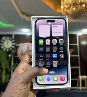 Apple iPhone 14 Pro Max 256 GB Gray