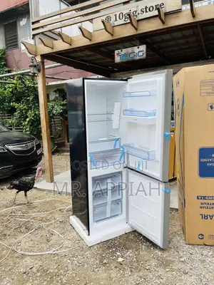 Well Built Pearl Pf—433 BBGWD Bottom Freezer Fridge.