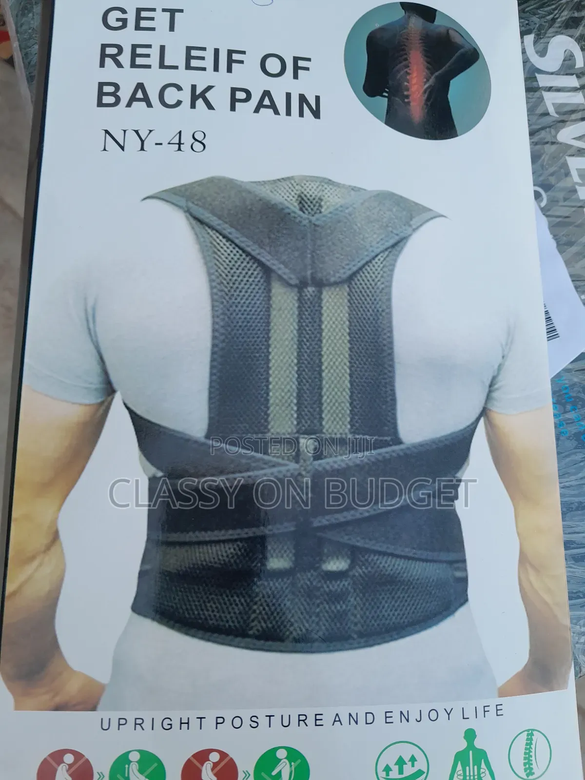 Back Support