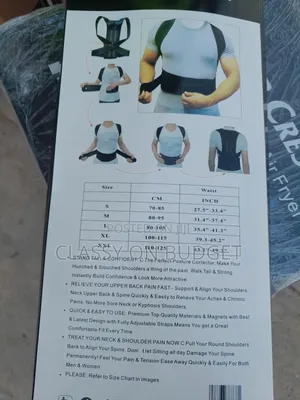Back Support