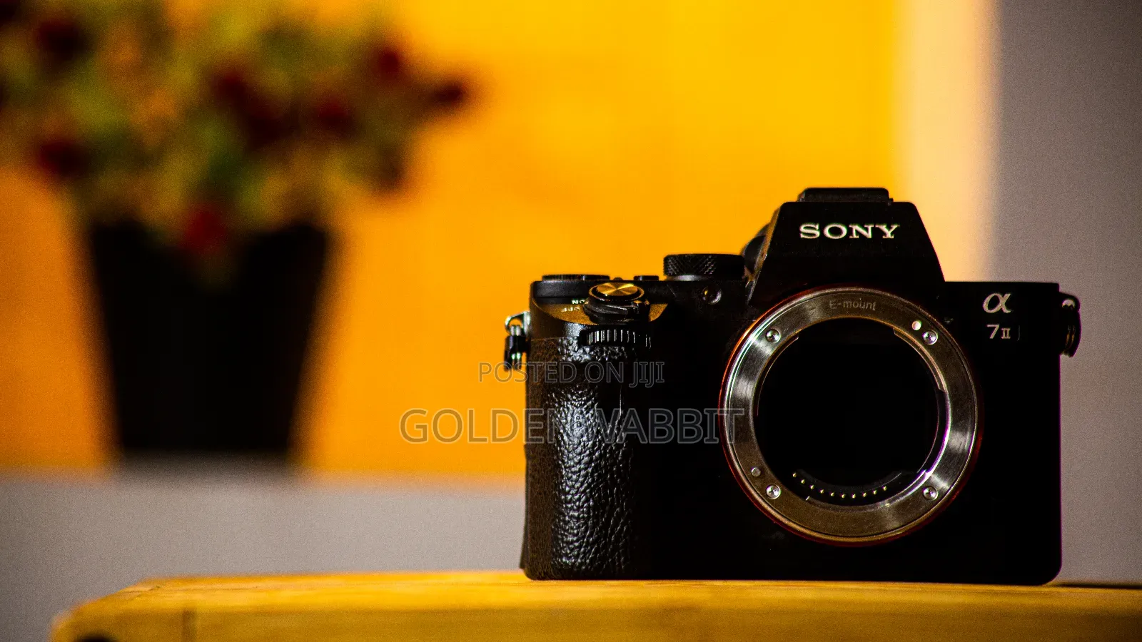 Sony Alpha A7ii Body, FE 28-70mm Lens, Silicon Case and 2 Battery