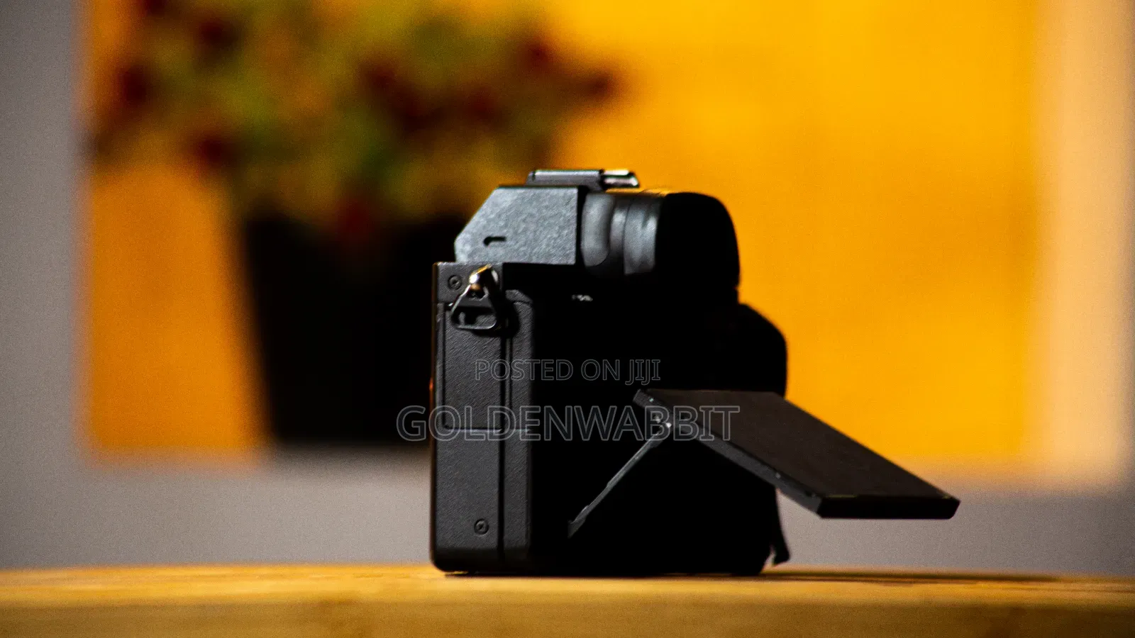 Sony Alpha A7ii Body, FE 28-70mm Lens, Silicon Case and 2 Battery