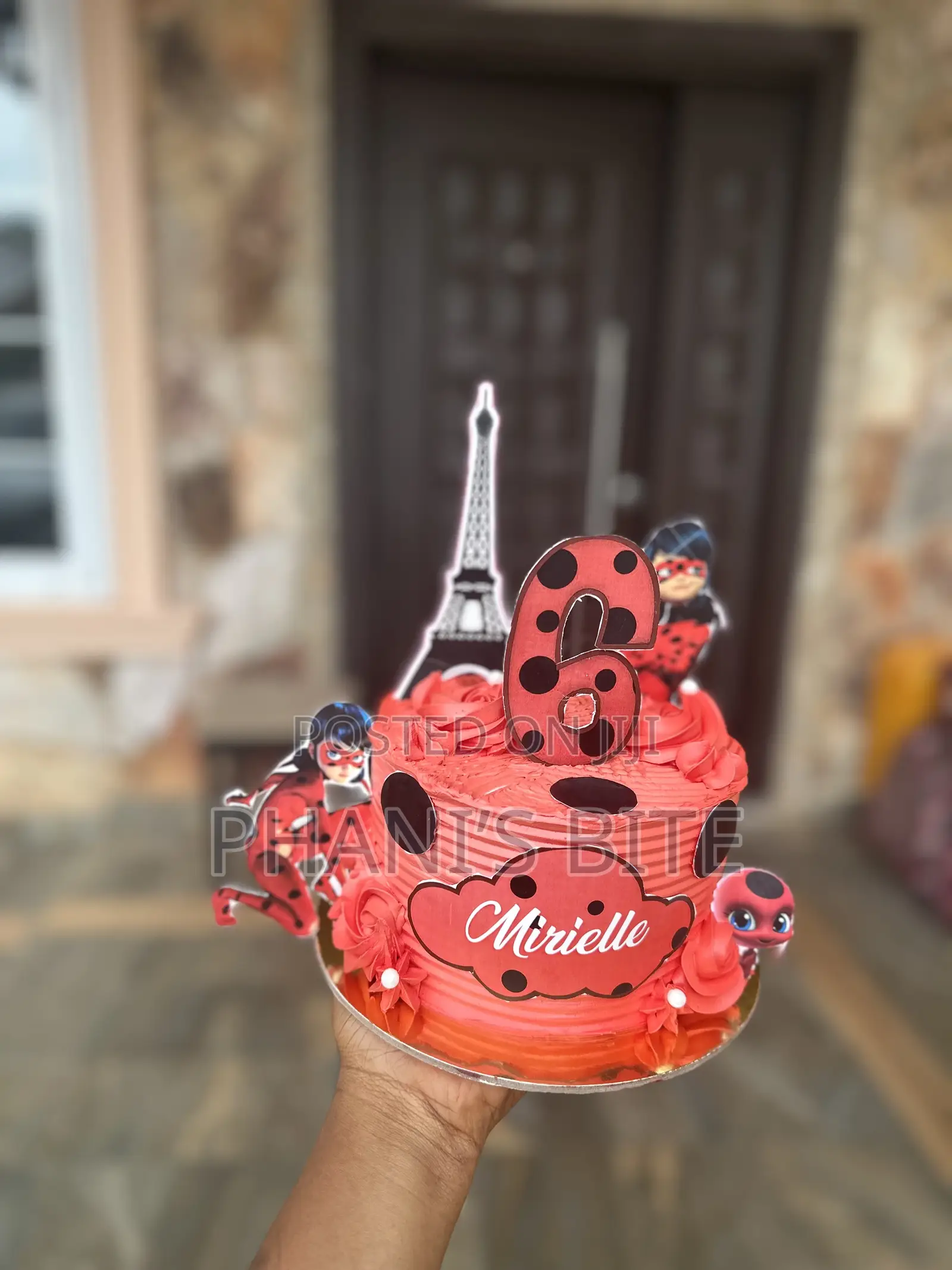 Red Lady Bug