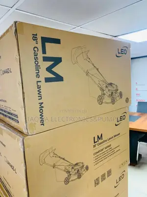 High Efficient Leo 4.0hp Lawn Mower