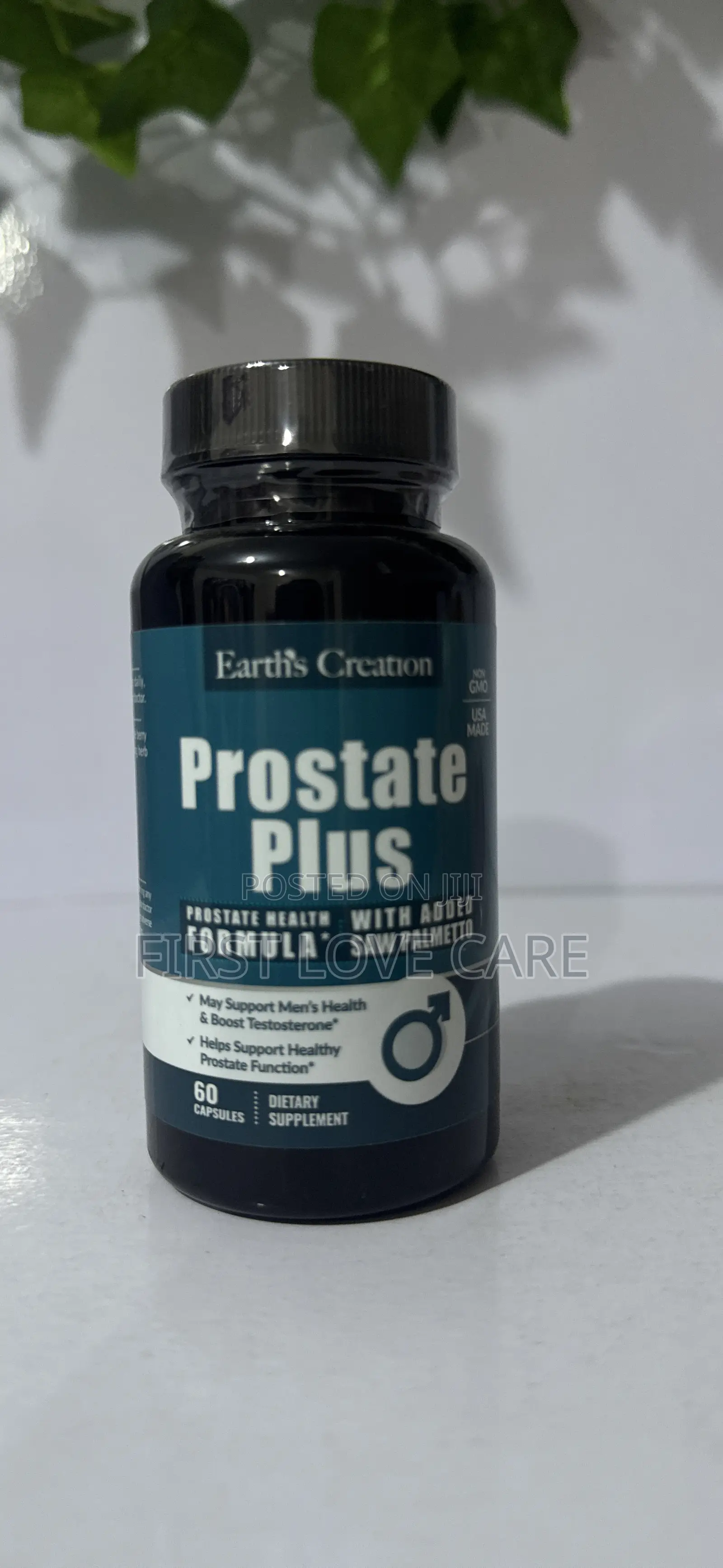 Earth's Creation Prostate Plus