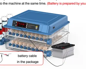 Egg Incubator 192 Capacity Fully Automatic