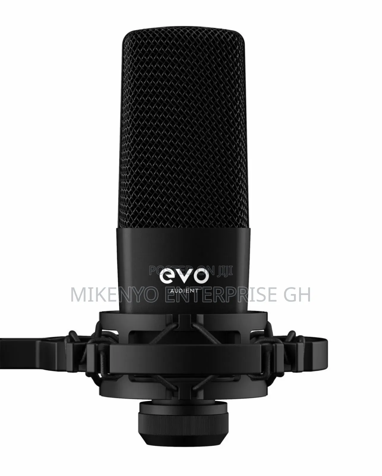 Audient Sr1 Large-Diaphragm Condenser Microphone.