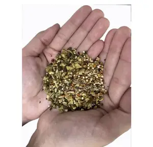 Food for All Types of Birds