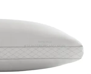 Pillow Set (2-Pack)Sealy Organic Pillow Set