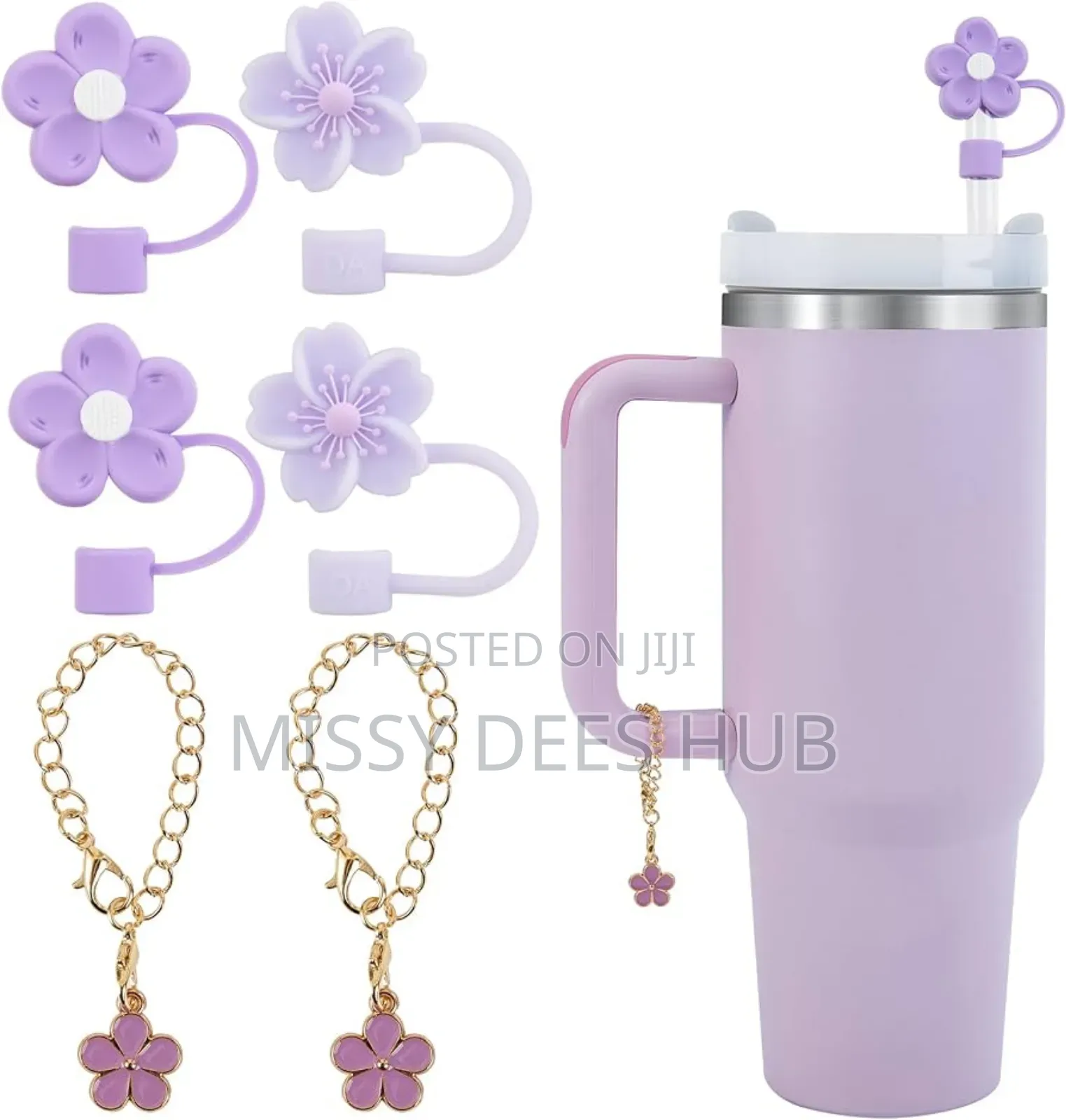 Stanley Cup Accessories