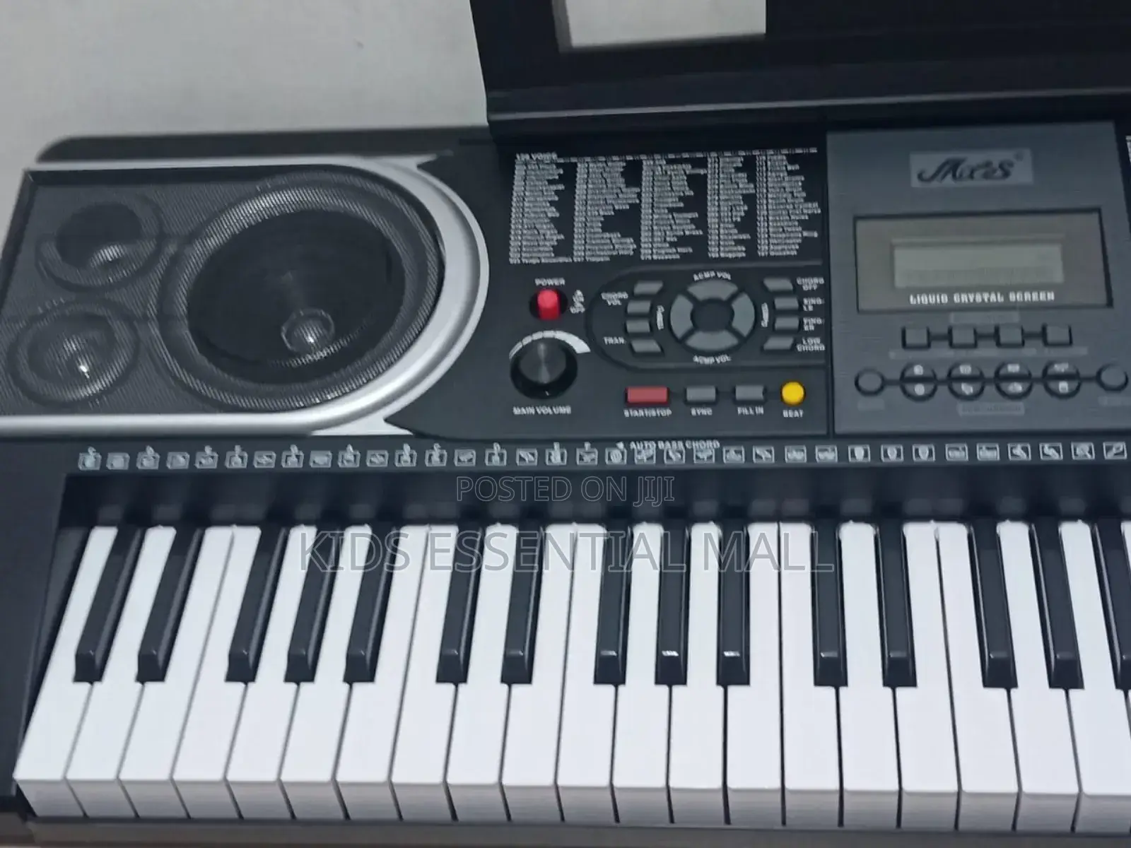 Professional Keyboard or Piano
