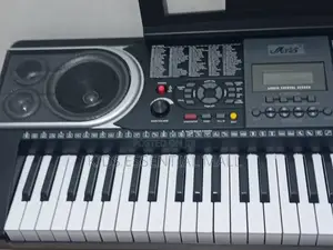 Professional Keyboard or Piano