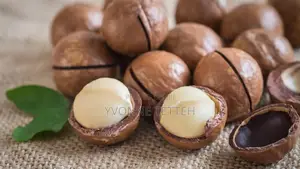 Macadamia Nut