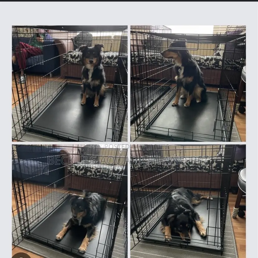 48 Inches Quality Heavy Duty Cage