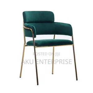 Restaurant Colorful Dining Chair Dining Chair