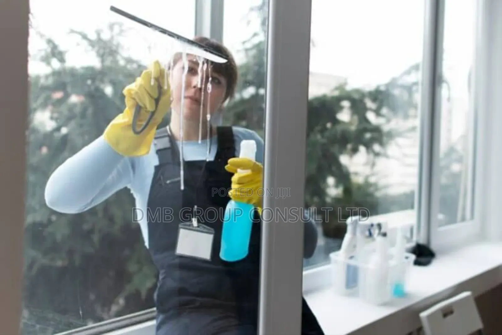 Ready to Clean Cleaners