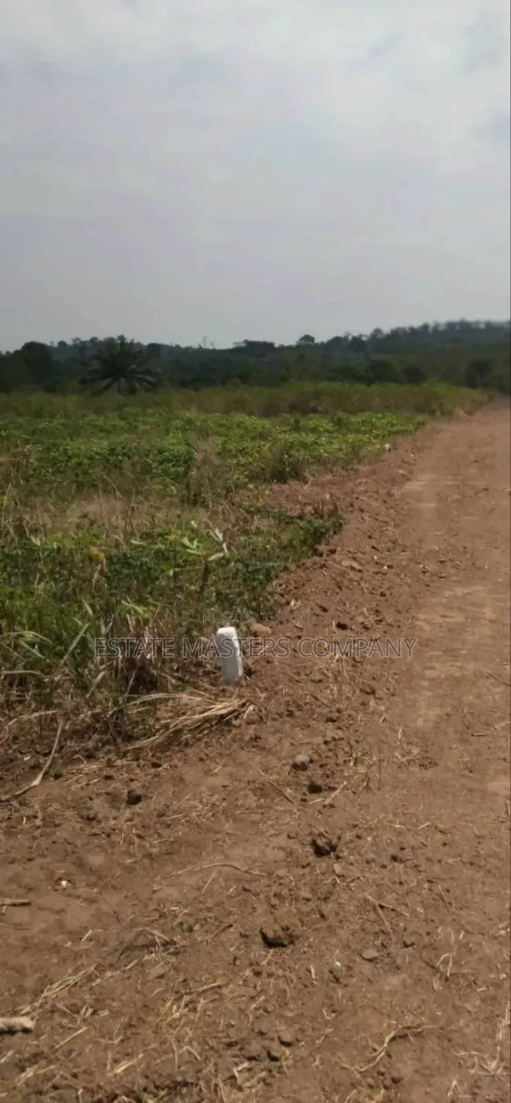 Purchase Land in an Area With Access to Building Materials
