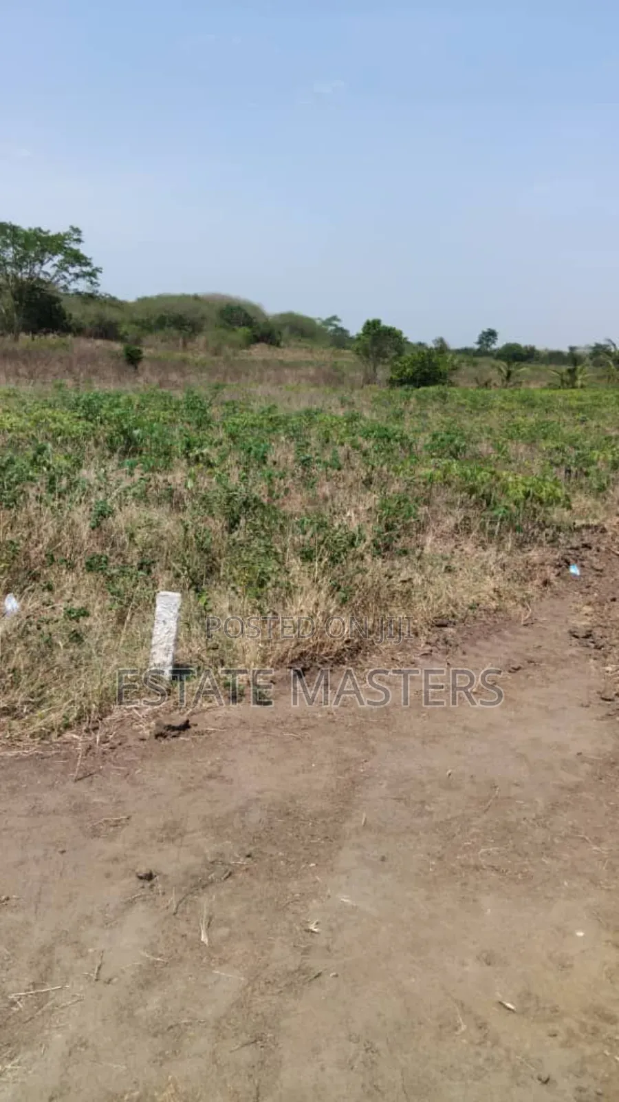 It's Not Too Late to Be a Land Owner