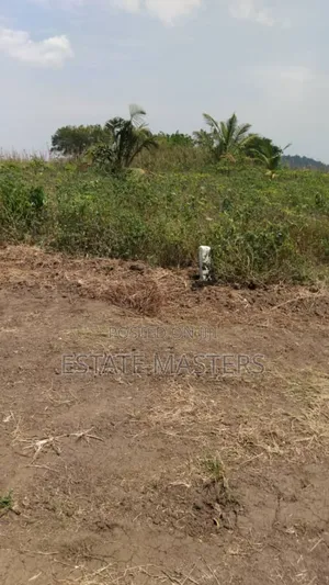 Very Affordable Lands Available for Sale