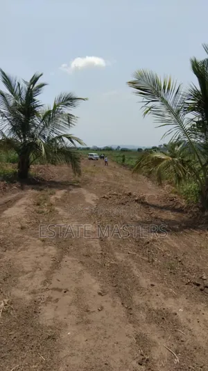 Very Affordable Lands Available for Sale