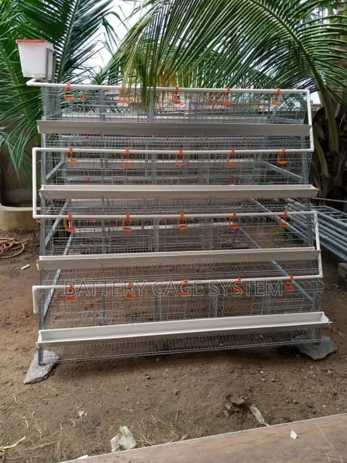 Chicken Cage