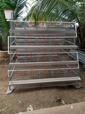 Chicken Cage