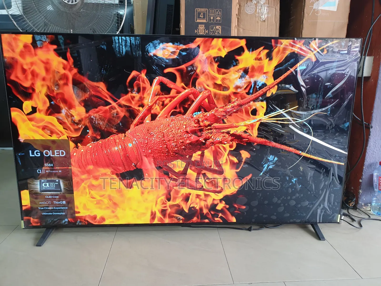 2024/25 Oled 55 Lg B4 Uhd HDR Smart Satellite Tv