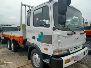 Hyundai 5ton Double Axles Medium Burkett