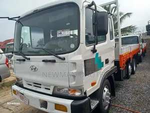 Hyundai 5ton Double Axles Medium Burkett
