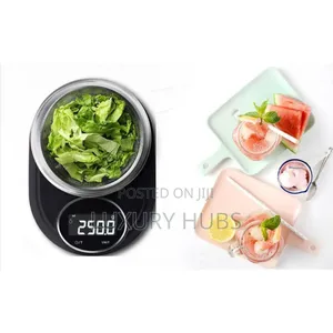 Digital Display Weighting Scale